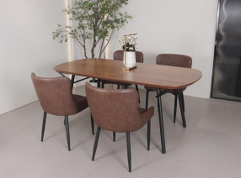 dining chair dining chair